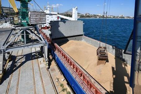 Китай снизил закупки некоторых российских товаров