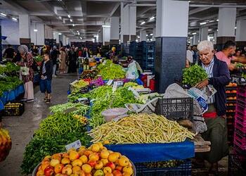 Страна НАТО компенсировала России снижение поставок овощей из Ирана