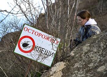 Россиян призвали готовиться к аномальному нашествию паразитов