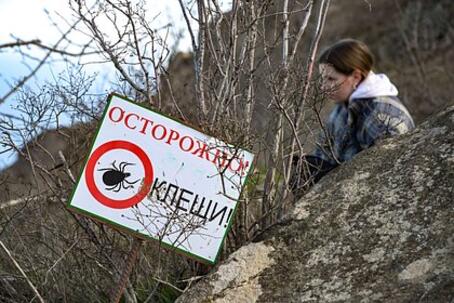 Россиян призвали готовиться к аномальному нашествию паразитов