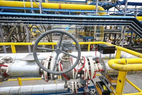 Ситуацию на топливном рынке в России назвали контролируемой