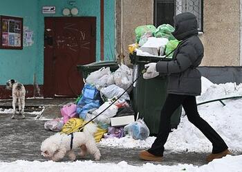Жители российского города пожаловались на мусорный коллапс