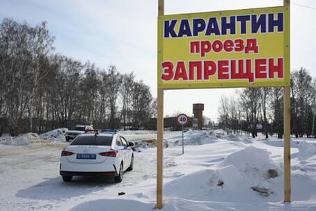 Пострадавшим от забоя скота новосибирским фермерам выделили 200 миллионов рублей