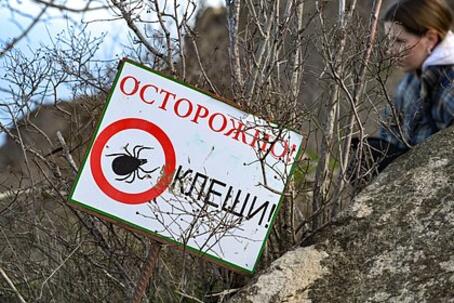 Москвичей предупредили о возможном нашествии опасных клещей-мутантов