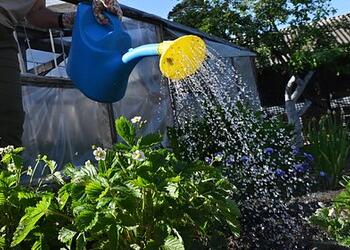 Россиян призвали собирать дождевую воду ради экономии