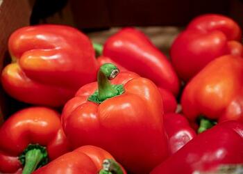 Скачок цен на некоторые овощи объяснили войной в Иране